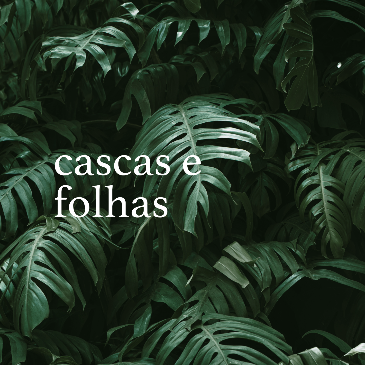 Refil de Aromatizador de Ambiente Cascas e Folhas 500ml