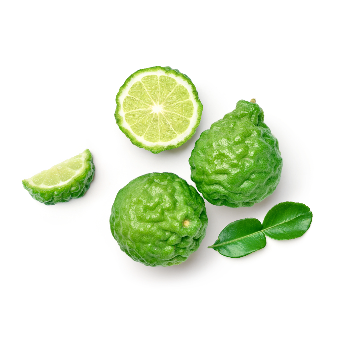 Água de Colônia Bergamot e Basil ELEMENTS
