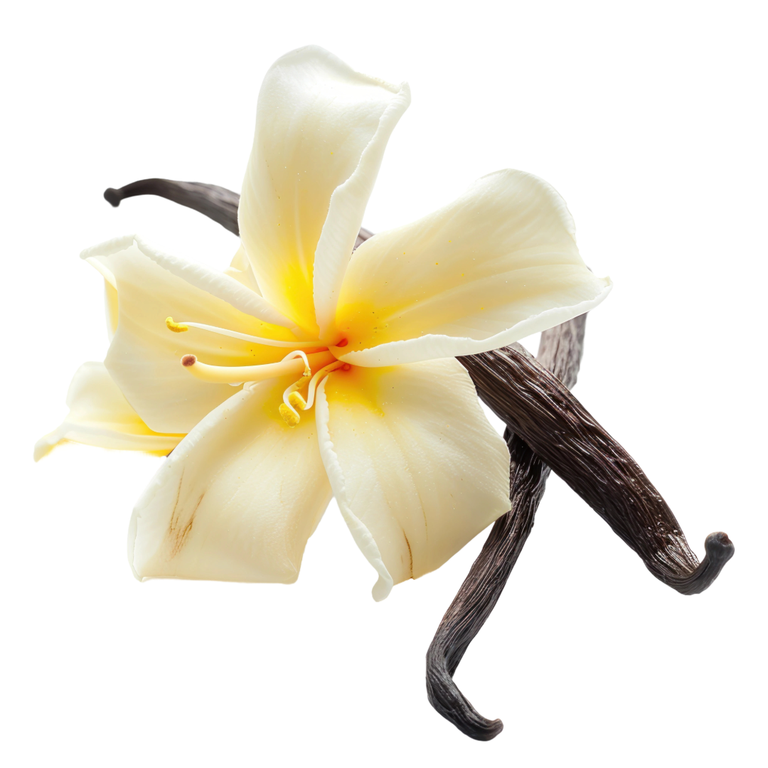 Água de Colônia Vanilla Taha 15ml