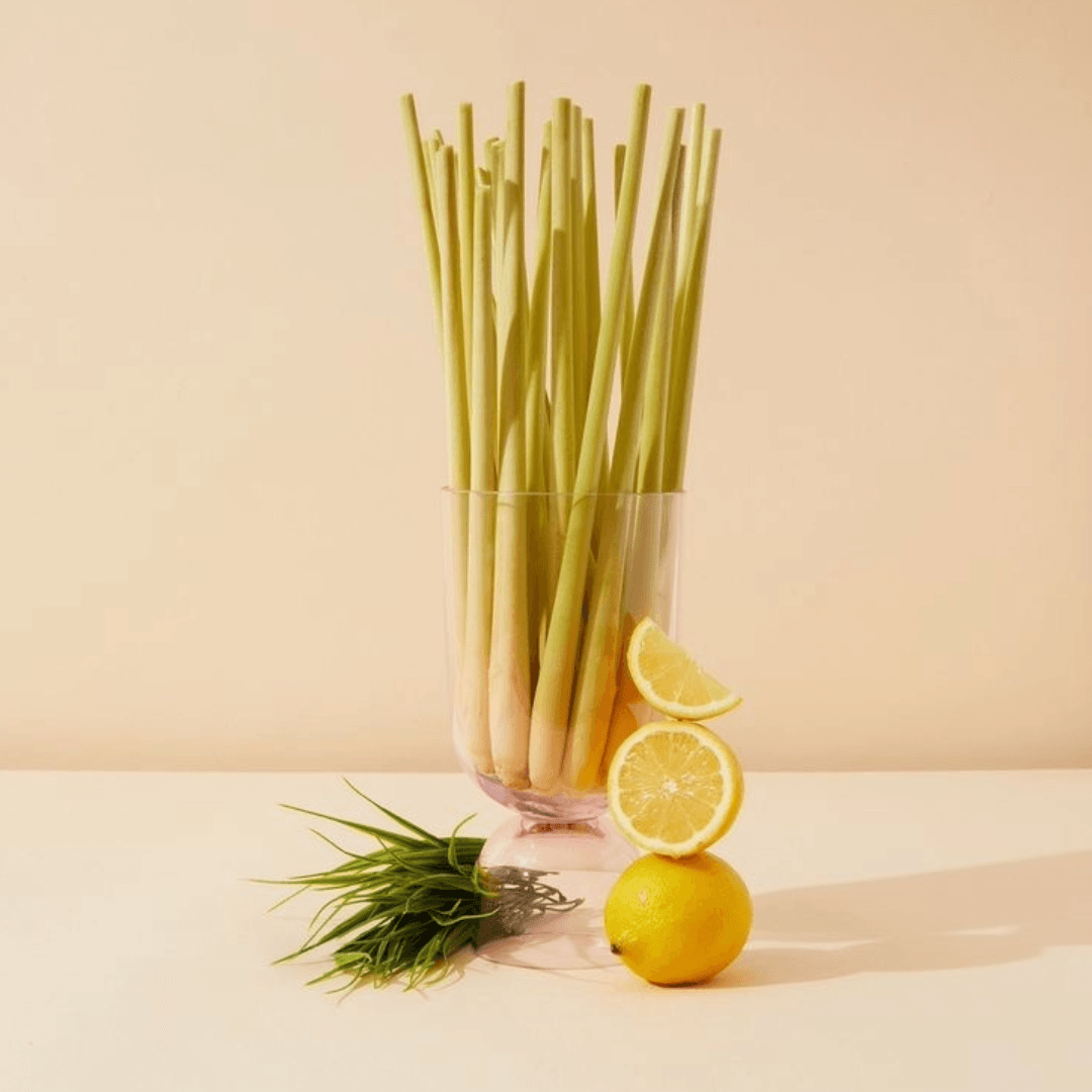 Hidratante Vegetal Capim Limão e Karité Bisnaga 75g ESSENCIAL ORGANICS®️