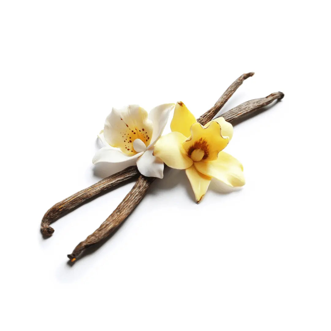 Água de Colônia Vanilla Black 250ml ELEMENTS essencial organics