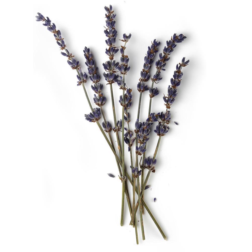 Óleo Essencial de Lavanda Bulgária 10ml - Essencial Organics
