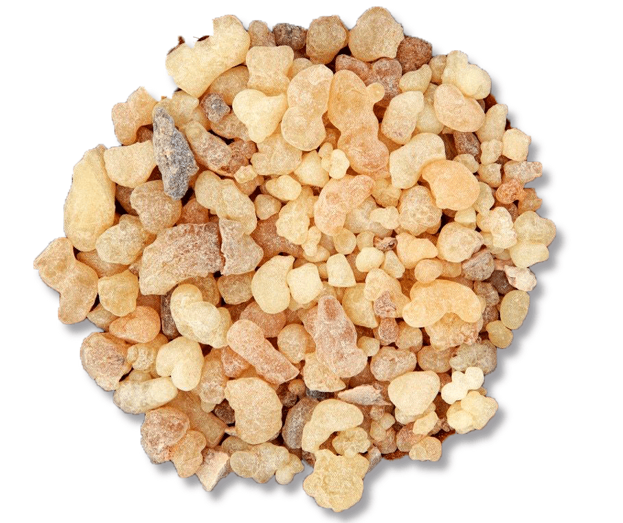 Óleo Essencial de Olíbano (FRANKINCENSE) 10ml essencial organics