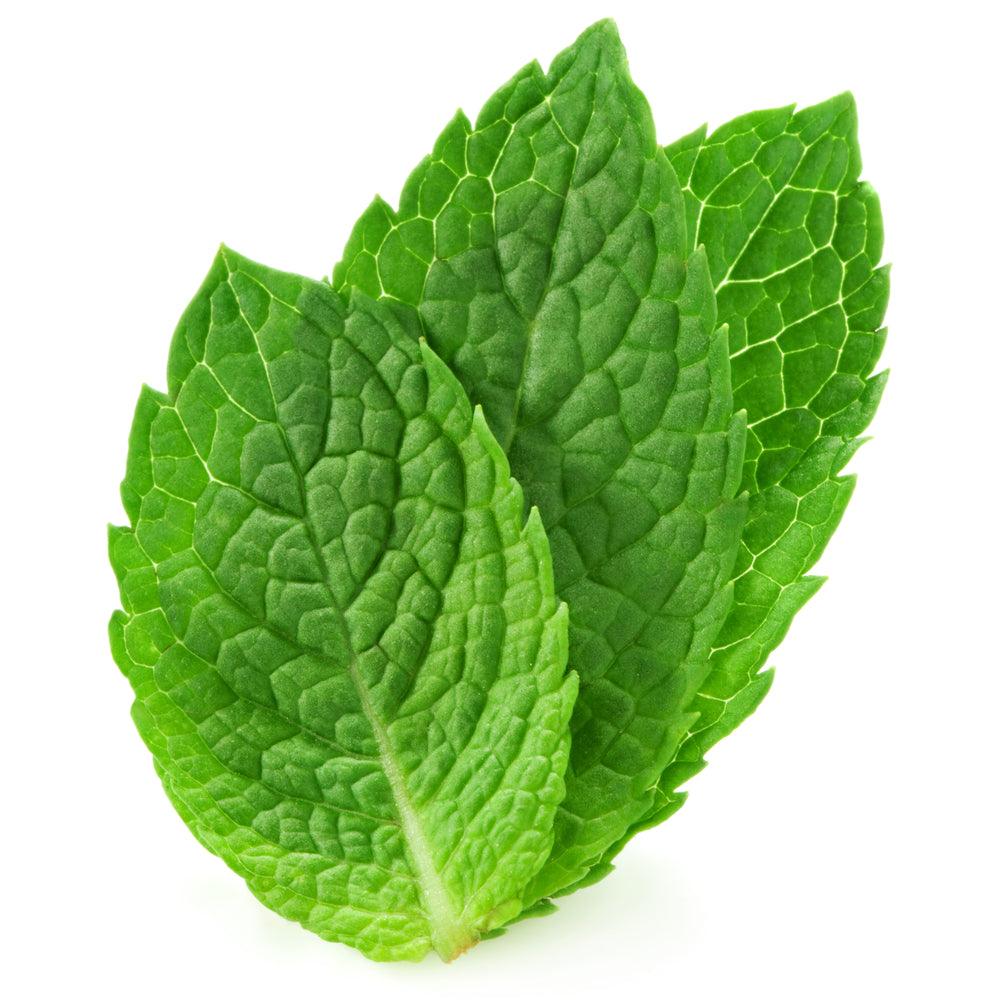 Óleo Essencial de Hortelã Pimenta (Menta Piperita) 10ml - Essencial Organics