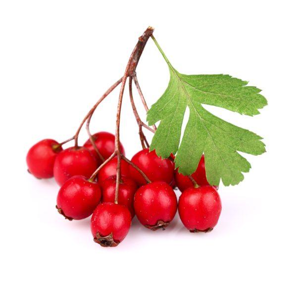 Óleo de Rosa Mosqueta 30ml - Essencial Organics