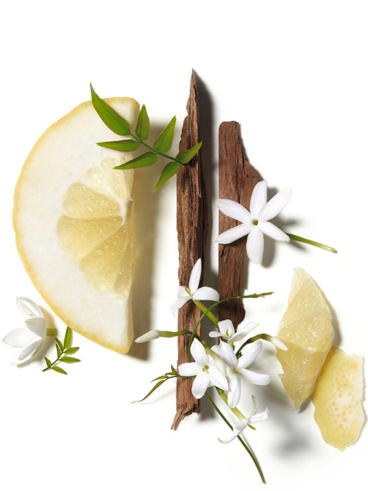 LINHA FLORES DO BRASIL ESSENCIAL ORGANICS®️
