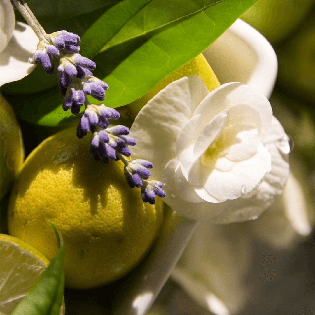 LINHA CASCAS E FOLHAS ESSENCIAL ORGANICS®️